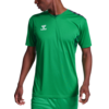 Hummel Dres HMLAUTHENTIC PL JERSEY S/S