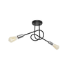Plafonski luster OXFORD 2xE27/15W/230V