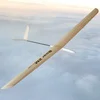 Boar 2 m