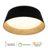 LED plafonska lampa FK2003-62C BK