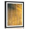 Plakat s paspartujem sonce za drevesi - 30x45 no frame