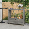 Barska kolica s ladicom siva 100 x 45 x 97 cm od poliratana
