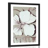 Plakat s paspartujem kapucinka v očarljivi izvedbi - 30x45 no frame