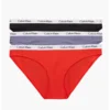 Calvin Klein ženski donji veš 3 Pack Bikini Briefs - Carousel 000QD3588E1CX