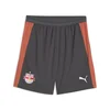 PUMA FC RB Salzburg Training Shorts Men, Sport, Shadow Gray/White, S