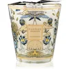 Baobab Collection My First Baobab Tomorrowland dišeča sveča 1000 g