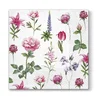 Serviete za decoupage - Darovi vrta - 1 kom (serviete za)