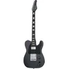 Schecter PT EX Dorian Gray električna gitara