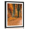 Plakat s paspartujem gozd v jesenskih barvah - 20x30 no frame