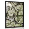 Plakat lokvanji na vrtu - 30x45 no frame