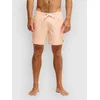 Quiksilver Stretch Printed Volley 16 kopalne hlače strerling blue beach daze