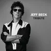 Jeff Beck - Tribute (LP) (Samo odprto)