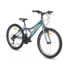 Bicikl CASPER 240 24 /18 sivo zelena