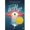 Beyond the Bright Sea