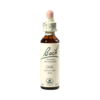 Bach Oak, kapljice št. 22 - hrast, 20 ml