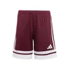 ADIDAS PERFORMANCE Športne hlače Squadra 25 rdeča/bela