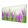 tulup.si Slika na steklu Tulipani rože narava 120x60 cm 4 obešalnika