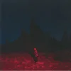 Phoebe Bridgers - Punisher
