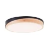 Brilliant - LED plafonska svetiljka (prigušiva) BAARLO LED/24W/230V prečnika 35 cm, crne boje