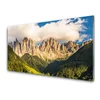 tulup.si Slika na steklu Vrhovi gore oblaki gozd travnik 140x70 cm 2 obešalnika