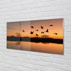 tulup.si Slika na akrilnem steklu Flying ptice sunset 100x50 cm 2 obešalnika