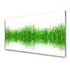 tulup.si Slika na steklu Grass nature rastlin 100x50 cm 2 obešalnika
