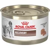Royal Canin veterinarska dijeta dog&cat Recovery 195g