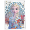 Frozen II notes ( 35156 )