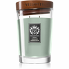 Vellutier Cannabis Connoisseur dišeča sveča 515 g