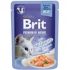 Brit Premium | Adult Fileji lososa v želeju