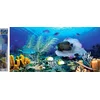 Norimpex Diamantna slika Ocean 80x40cm