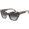 Emporio Armani Naočare za sunce EA 4176 54108G