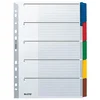PREGRADA KARTONSKA A4 KOLOR 5L LEITZ 43200000
