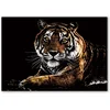 shumee Čarobna praskanka Lepi tiger 40x28 cm