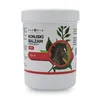 Paeonia Konjski balzam Hot, 125 ml
