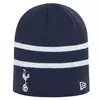 Tottenham Hotspur New Era Stripe Skull zimska kapa