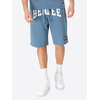 Benlee Mens shorts regular fit