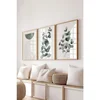 Ç-300747 - 3040 Set dekorativnih slika u više boja (3 komada)