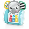 BABY EINSTEIN Igrača glasbena interaktivna Chase & Tap Earl™ 6m+