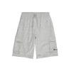 Champion Authentic Athletic Apparel Hlače siva