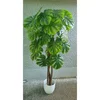 Lilium stablo monstera 155 cm GF141004