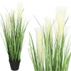 shumee CV14984 Pampas trava 45CM Umetna dekorativna pampas trava