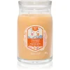 Yankee Candle Signature Large Jar 2 Wicks Slopeside Spritz Universal