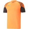Puma Dres individualCUP Training Jersey