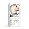Set za trajno bojenje kose FOREVER BLONDE 9C Icy Blonde