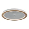 Rabalux Plafonjera sa daljinskim Efrael, LED 34W, 3000-6500K, 51cm, Bež