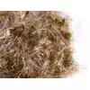 Sisal Fibre Material za gnezdo - JUTA, BOMBAŽ, MAH