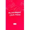 Crna kašika