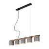 Briloner 4075-054 - Luster na sajli RHON 5xE14/25W/230V