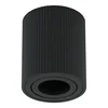 Plafonska lampa AFS118-1C BK